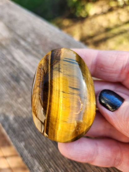 Flashy Tiger's Eye Palm Stone: Natural Polished Crystal