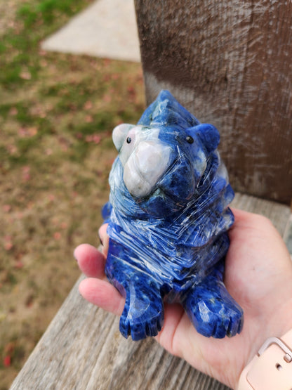 Regal AAA Master Carved Sodalite Lion Crystal Statue. Leo