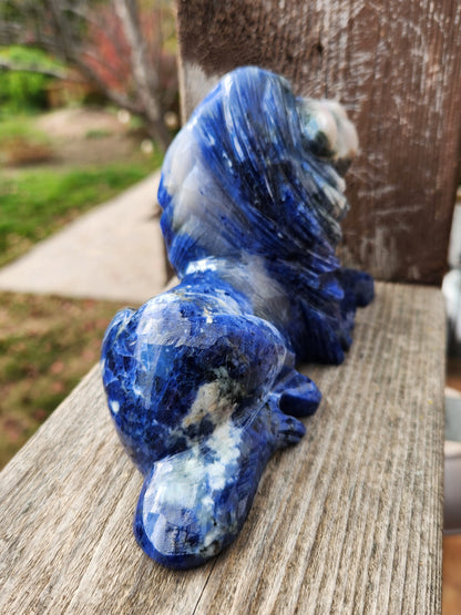Regal AAA Master Carved Sodalite Lion Crystal Statue. Leo
