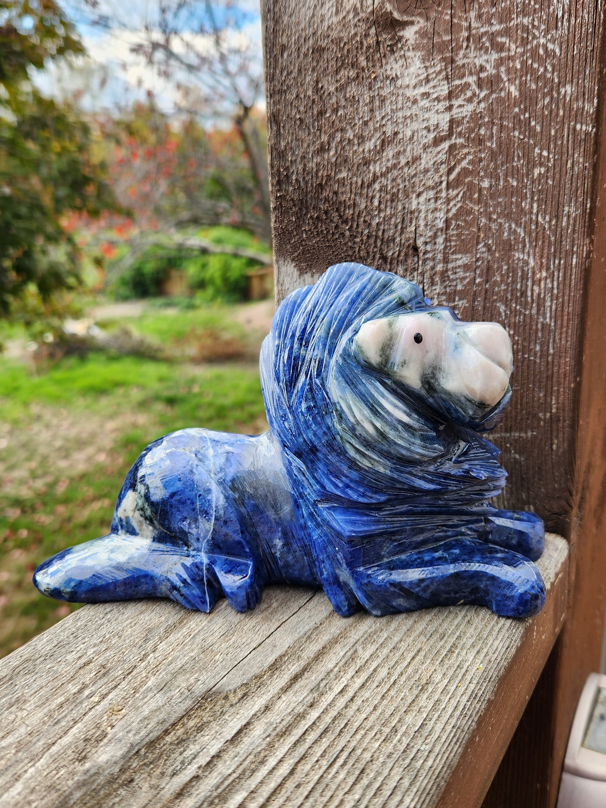 Regal AAA Master Carved Sodalite Lion Crystal Statue. Leo