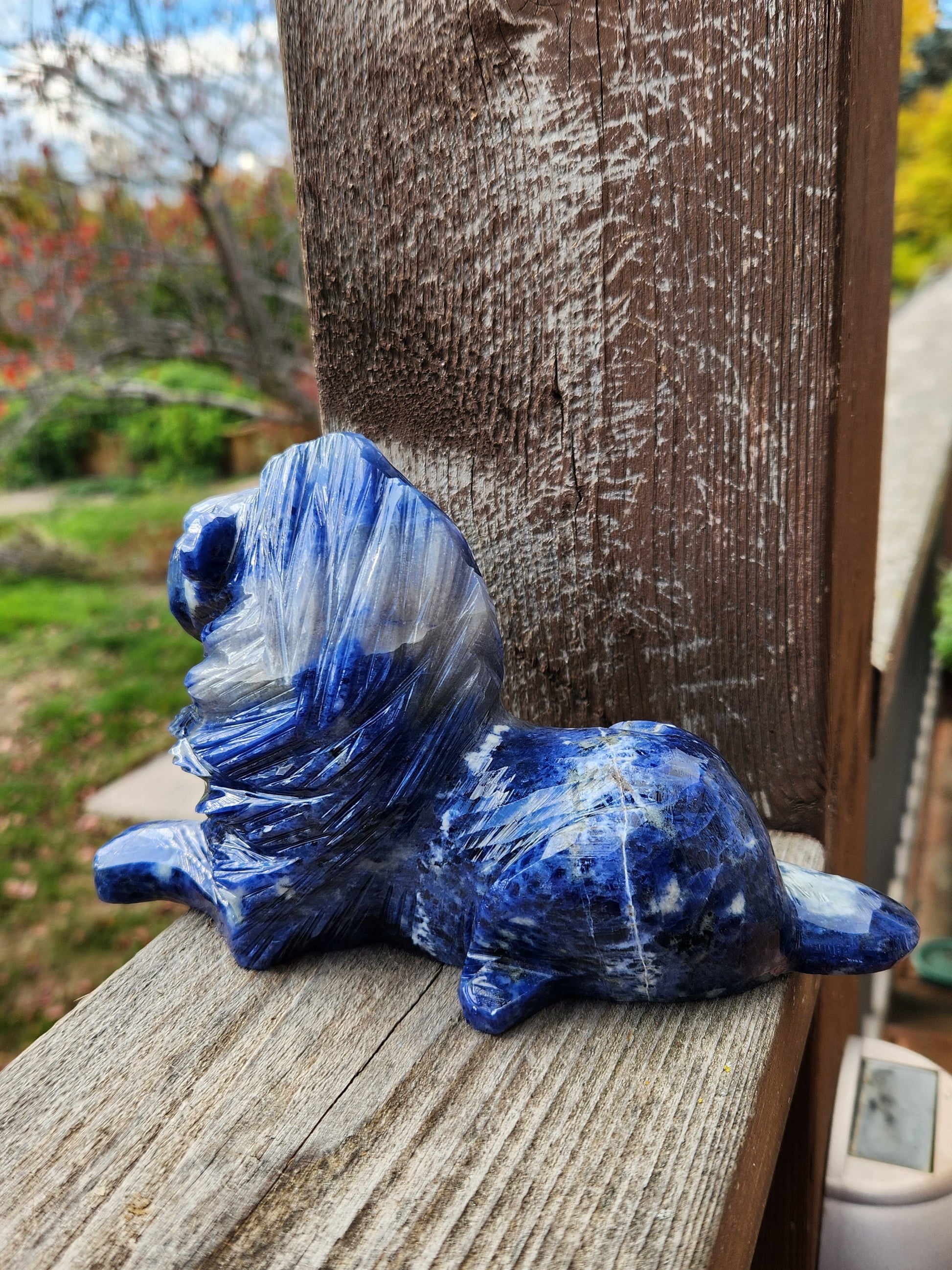 Gorgeous AAA High Polished High Quality Master Carved Sodalite Lion Crystal Statue