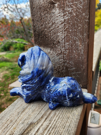 Regal AAA Master Carved Sodalite Lion Crystal Statue. Leo