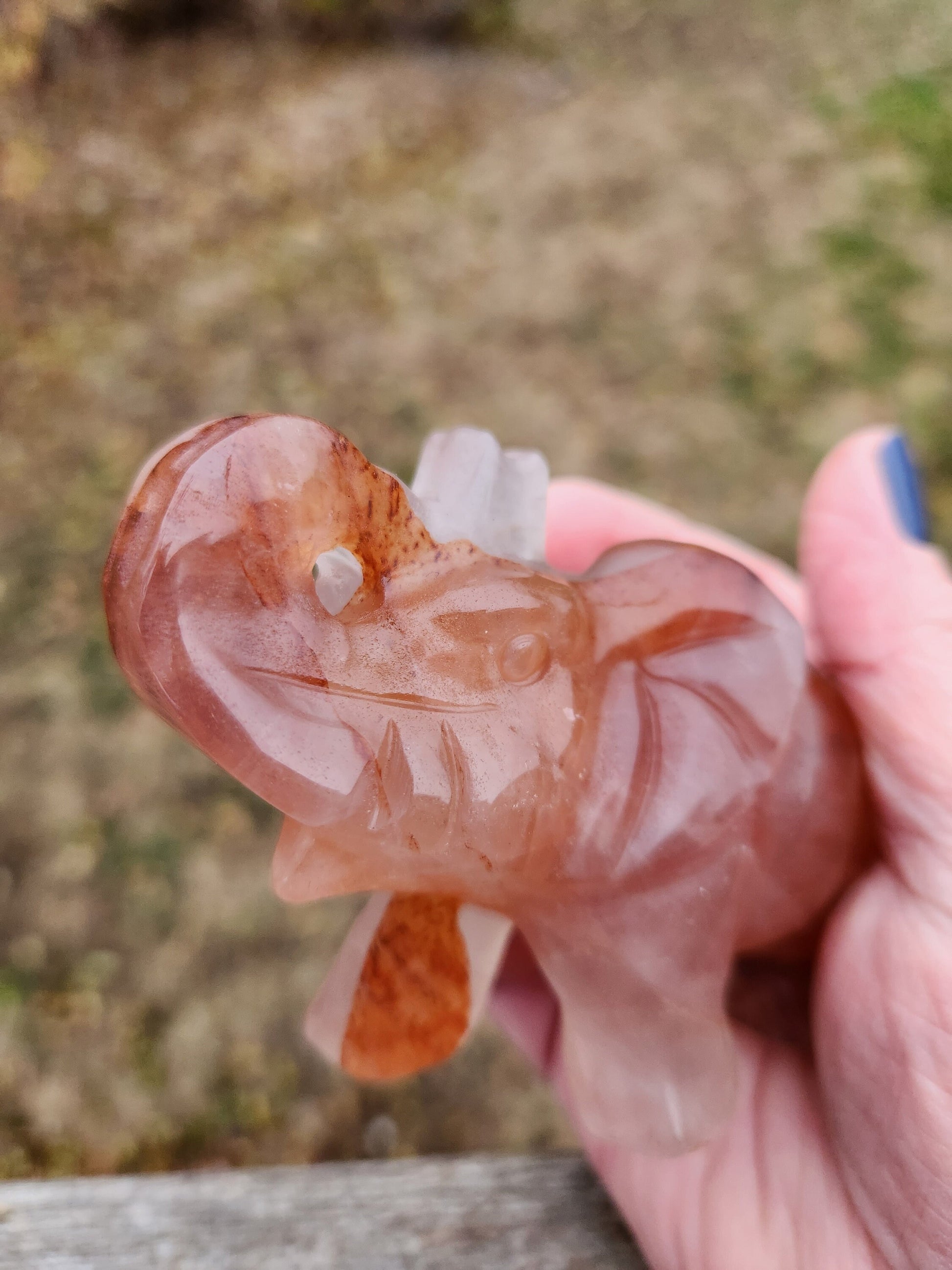 Beautiful Fire Quartz Carved Elephant Crystal Stone Medium