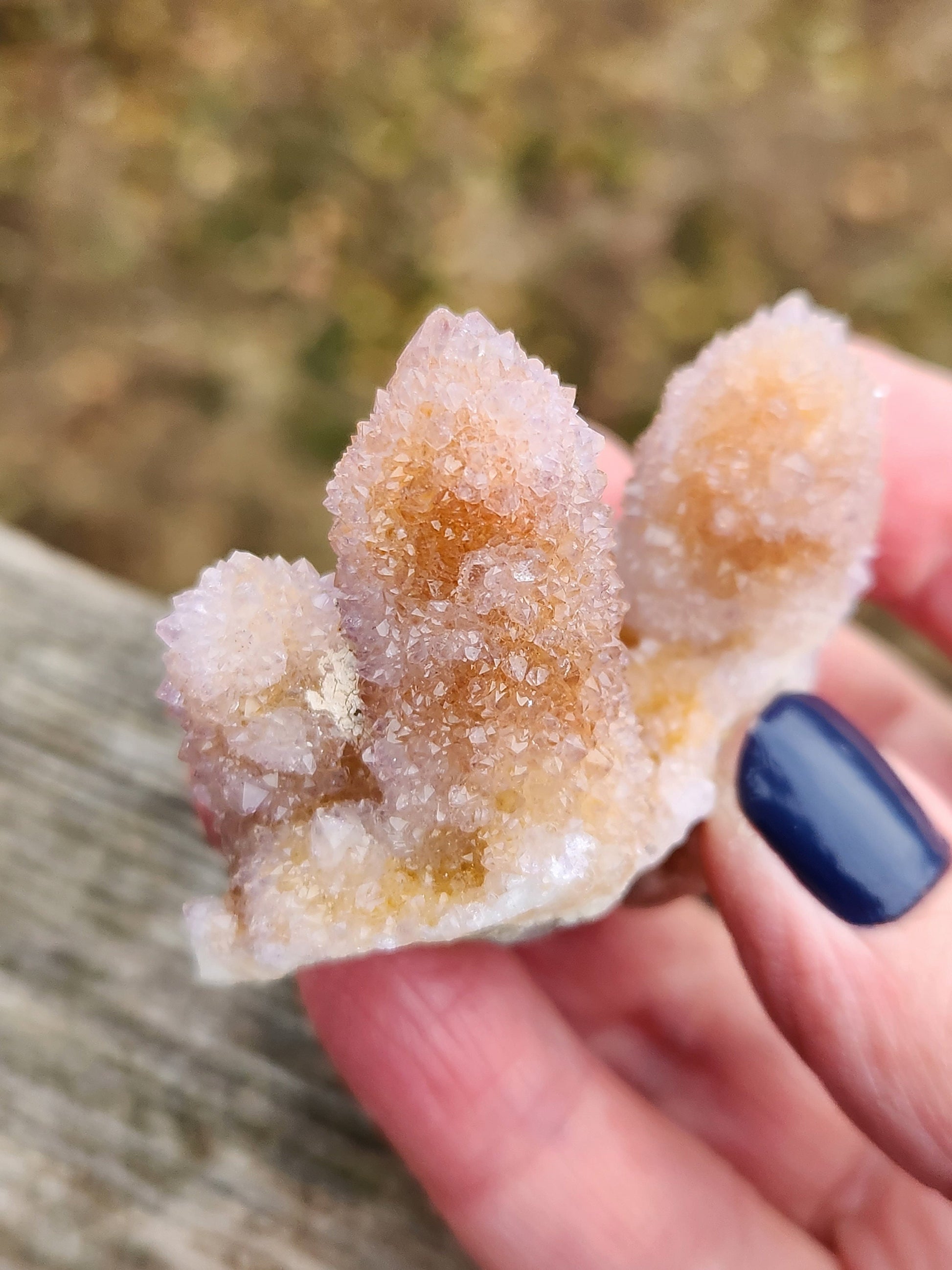 AAA Ametrine Spirit Quartz Cluster: South African Cactus Crystal