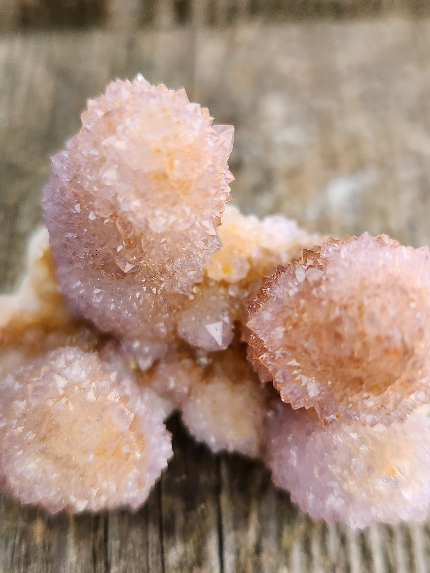 AAA Ametrine Spirit Quartz Cluster: South African Cactus Crystal