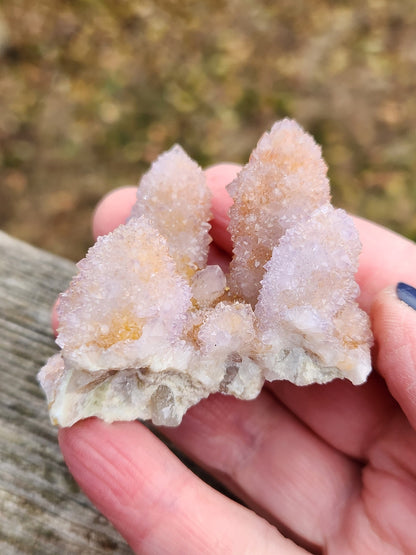 AAA Ametrine Spirit Quartz Cluster: South African Cactus Crystal