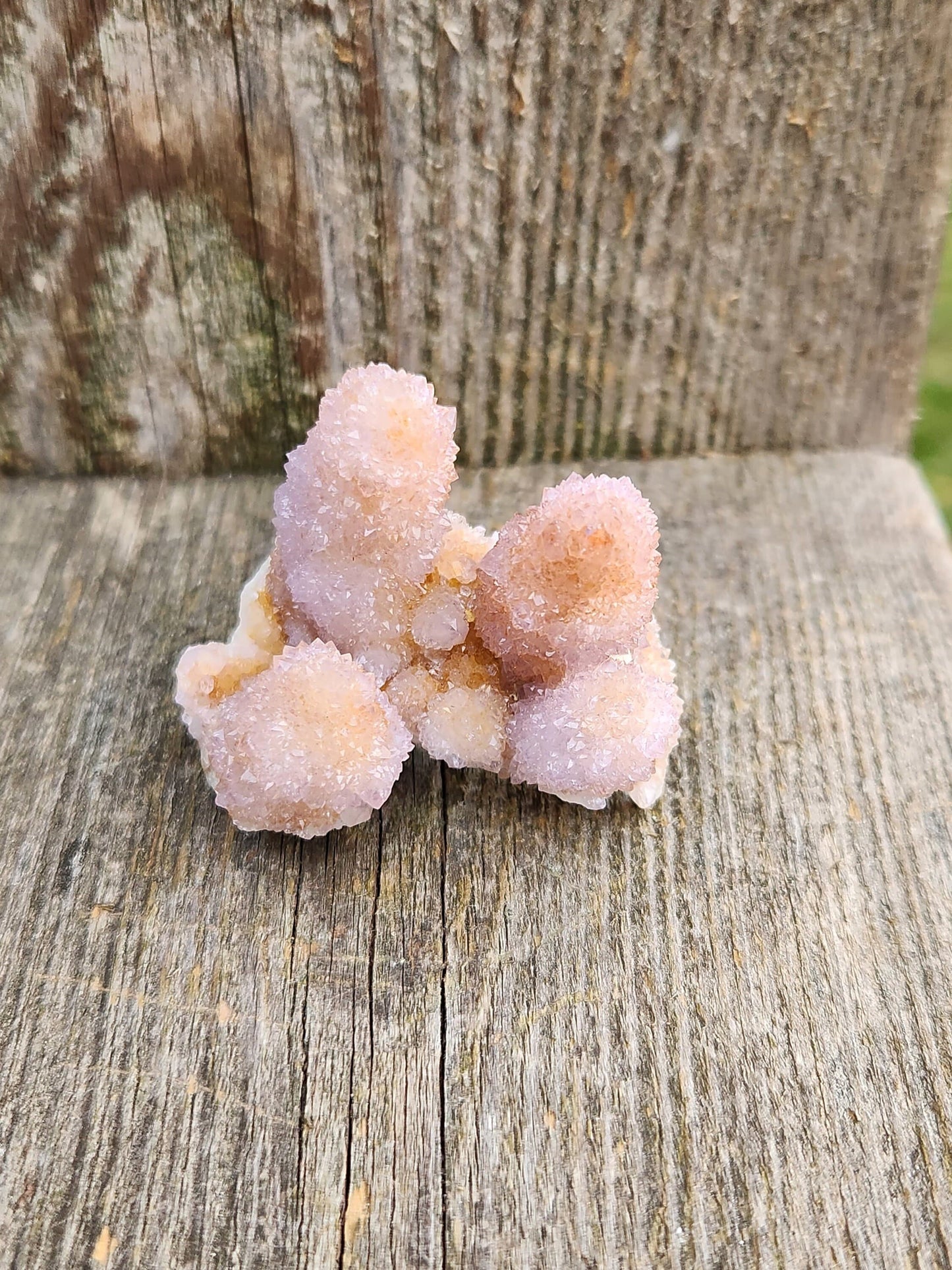 AAA Ametrine Spirit Quartz Cluster: South African Cactus Crystal