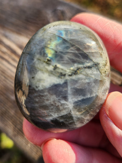 AAA Labradorite Crystal Tumble: High Polished Purple Blue Flash