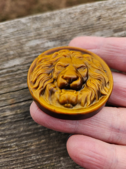 Tigers Eye Crystal Lion Coin Carving: Hand Carved Palm Stone
