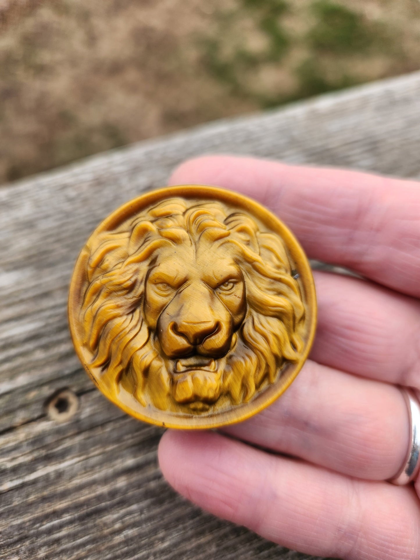 Tigers Eye Crystal Lion Coin Carving: Hand Carved Palm Stone