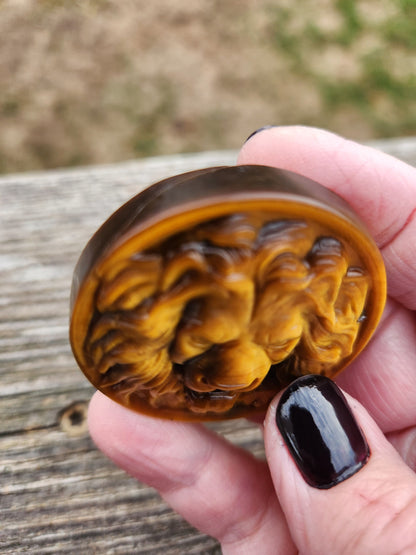 Tigers Eye Crystal Lion Coin Carving: Hand Carved Palm Stone