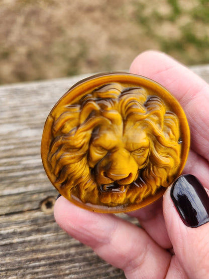 Tigers Eye Crystal Lion Coin Carving: Hand Carved Palm Stone