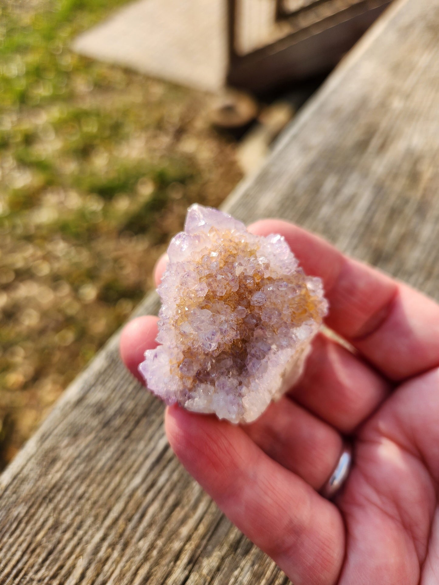AAA Spirit Quartz Crystal: Ametrine Cactus Quartz from South Africa