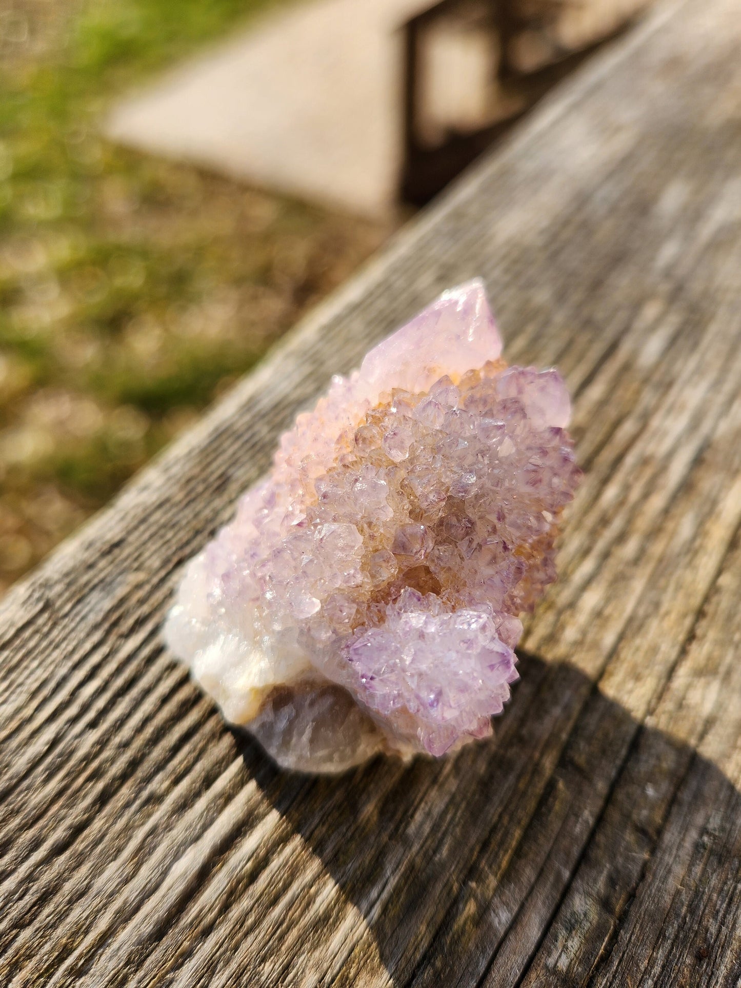 AAA Spirit Quartz Crystal: Ametrine Cactus Quartz from South Africa