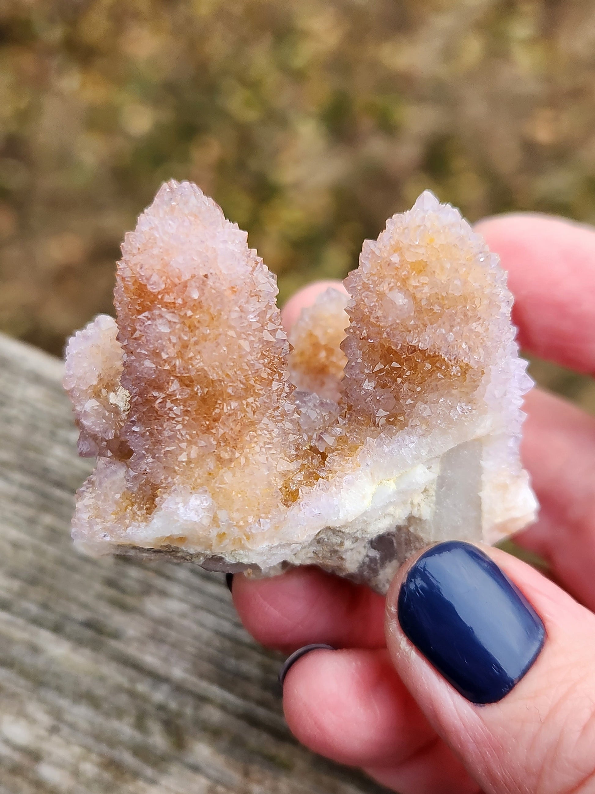 AAA Ametrine Spirit Quartz Cluster: South African Cactus Crystal