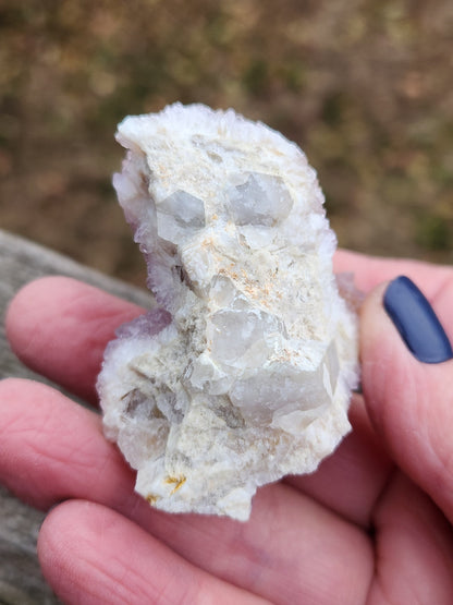 AAA Ametrine Spirit Quartz Cluster: South African Cactus Crystal