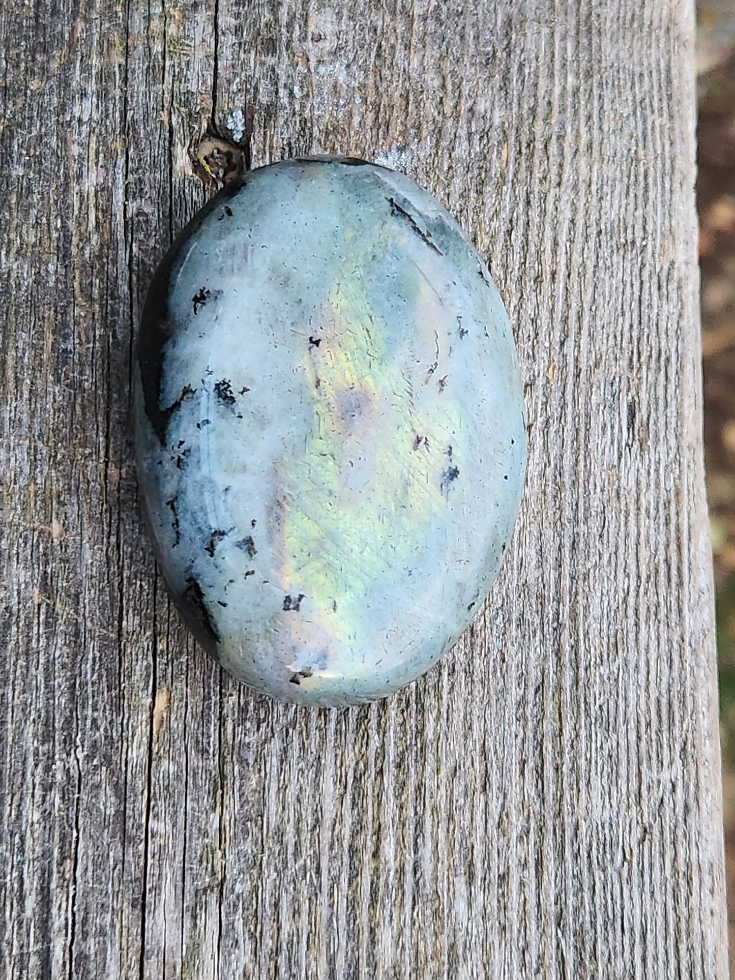 Polished Labradorite Large Palm Stone Crystal with Flash