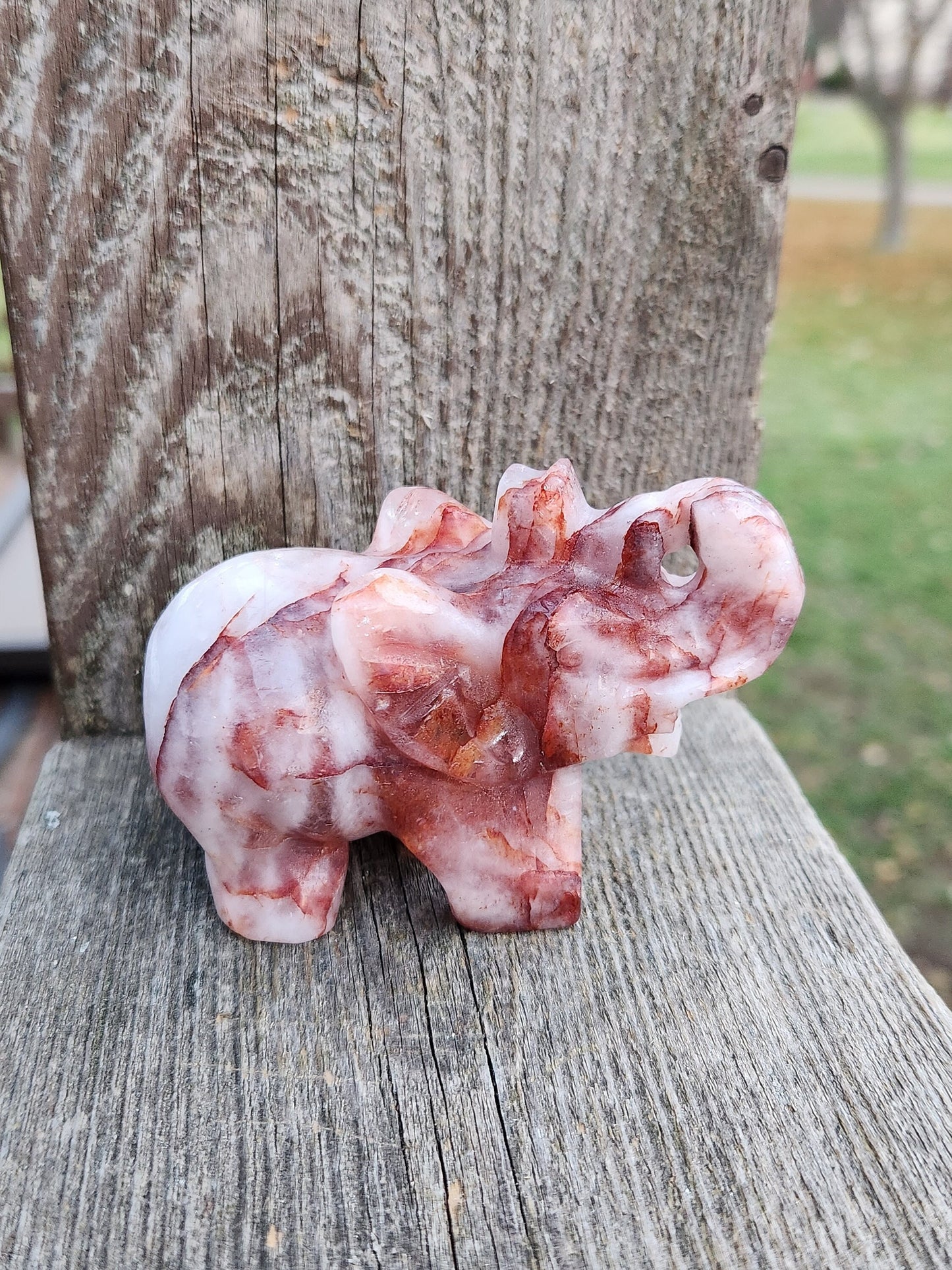 Beautiful Fire Quartz Carved Elephant Crystal Stone Medium