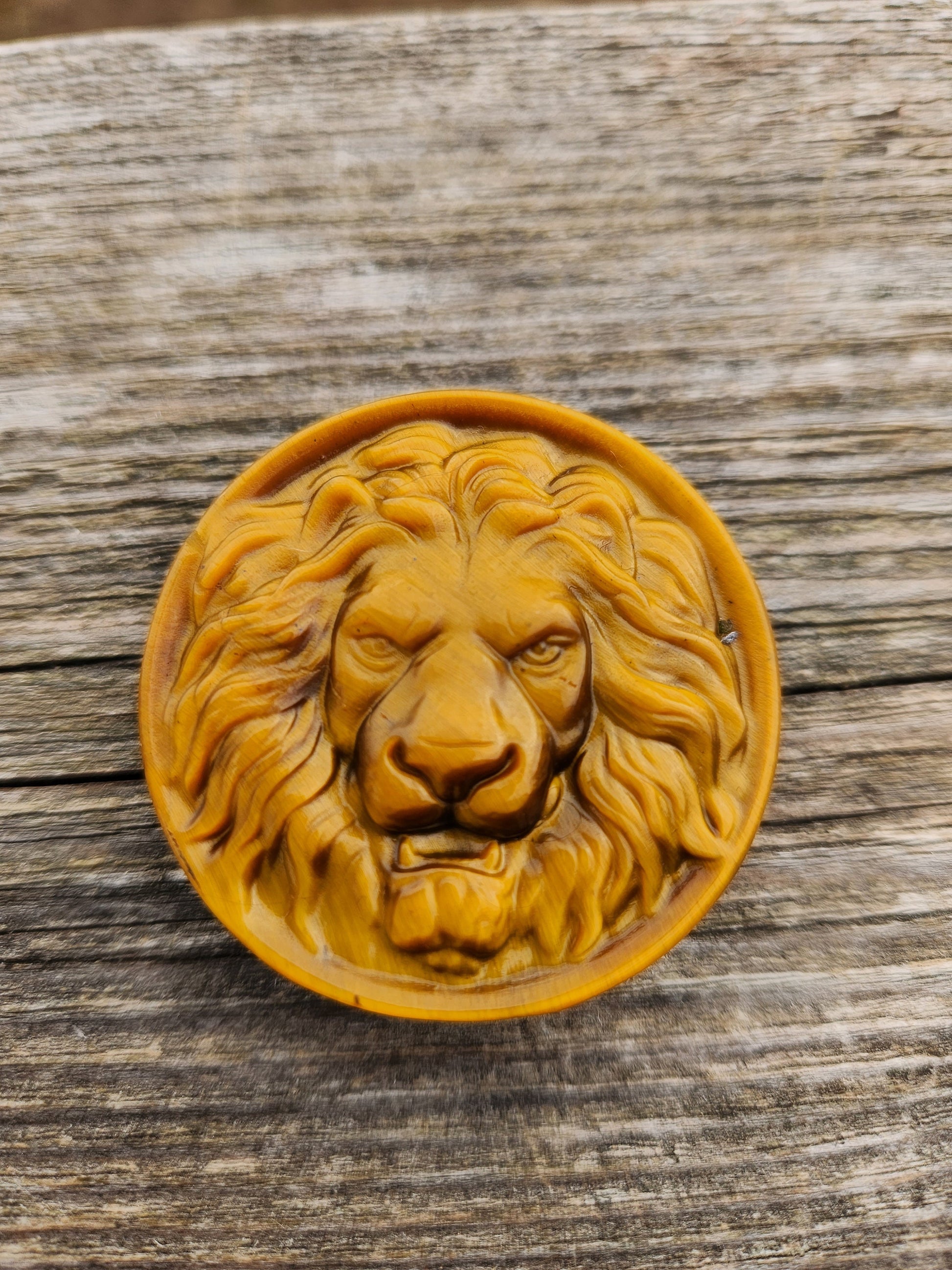 Tigers Eye Crystal Lion Coin Carving: Hand Carved Palm Stone