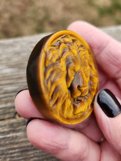 Tigers Eye Crystal Lion Coin Carving: Hand Carved Palm Stone