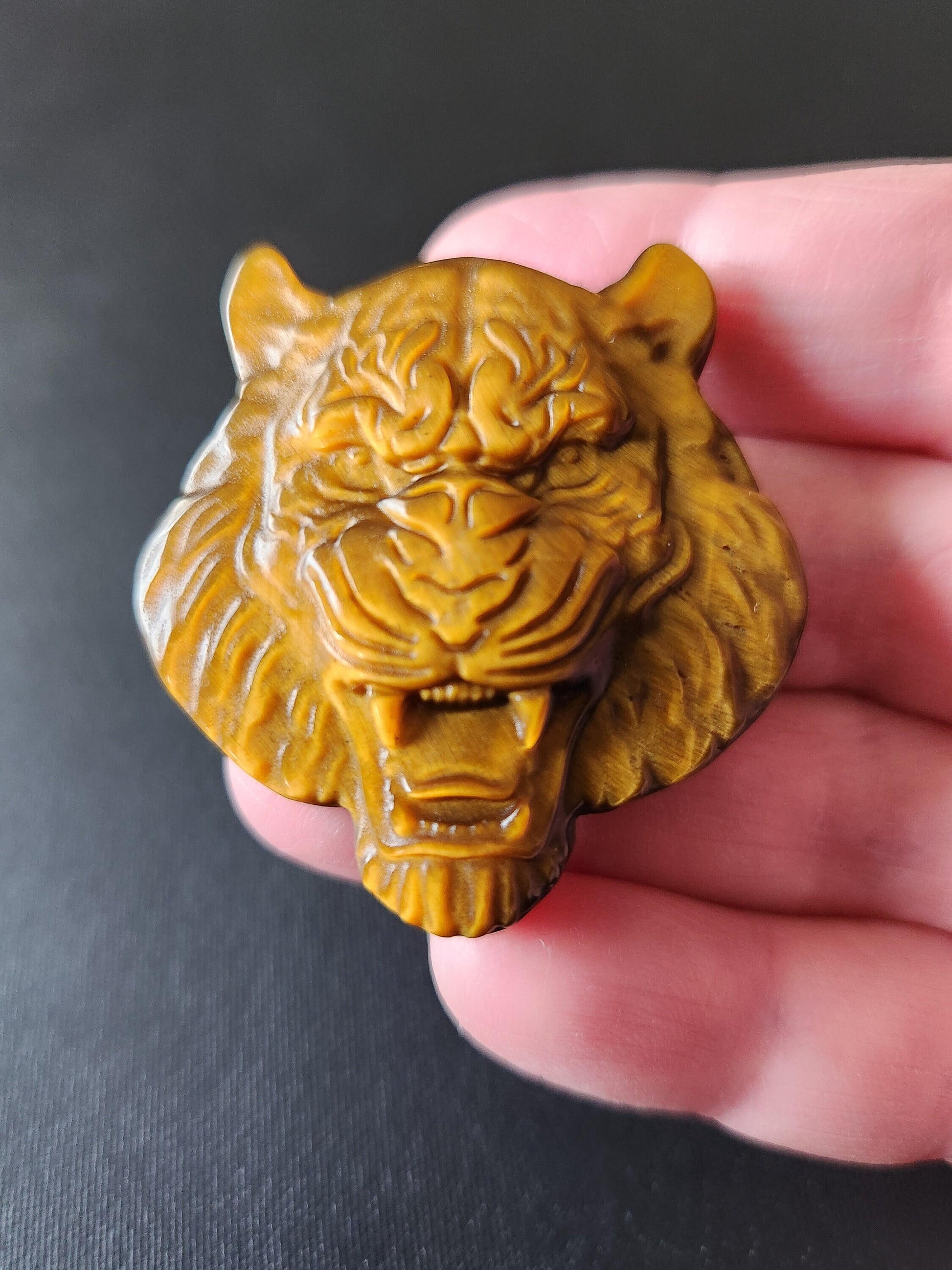 Crazy Cool Beautiful Juicy Tigers Eye Crystal Tiger Head Coin Carving