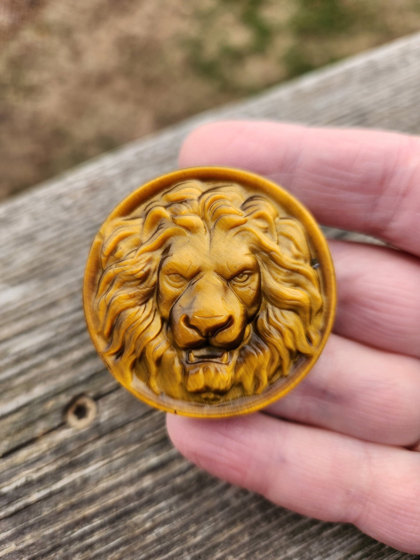 Tigers Eye Crystal Lion Coin Carving: Hand Carved Palm Stone
