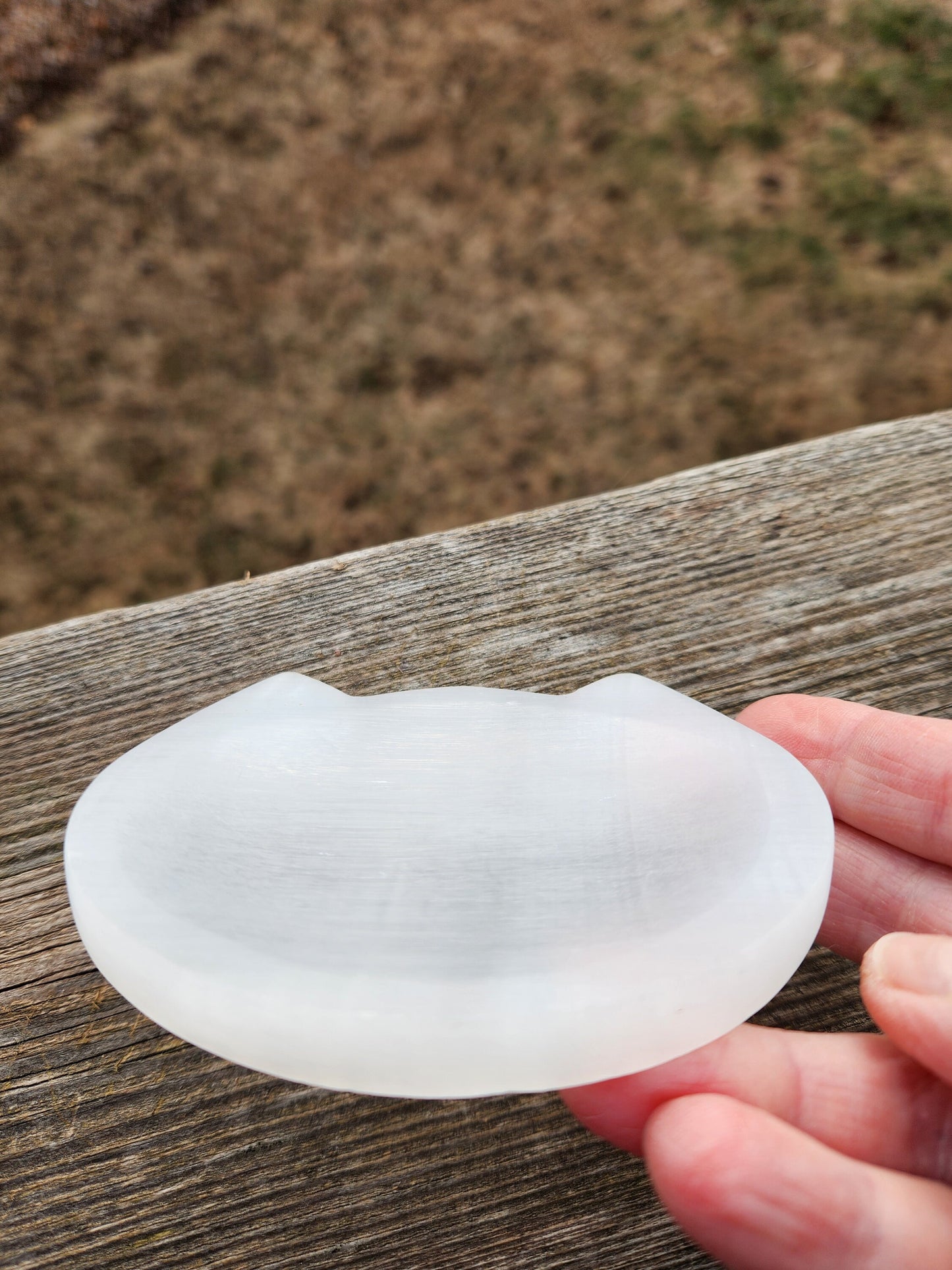 Beautiful Selenite Crystal Cat Shallow Bowl Tray Charging