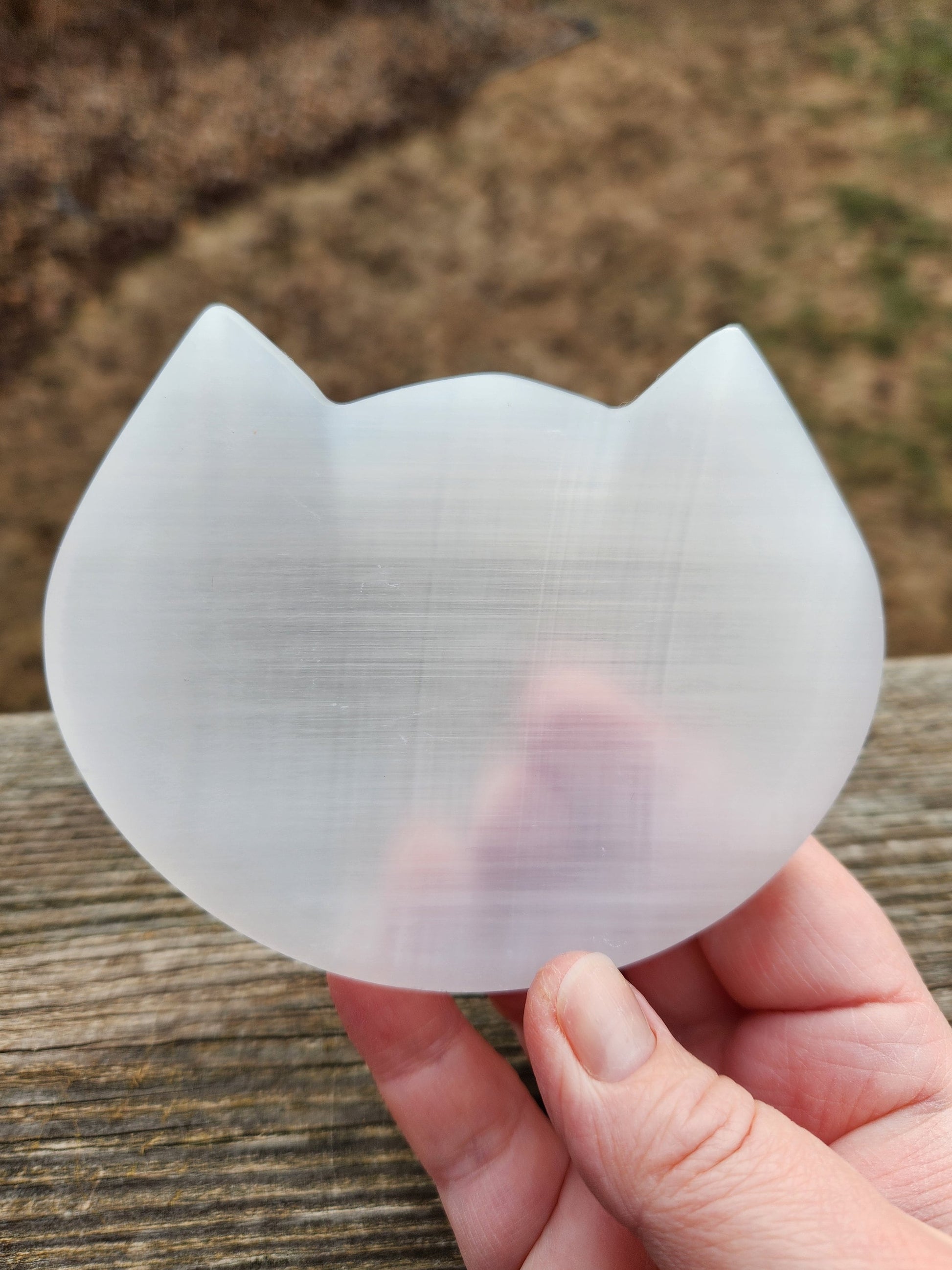 Beautiful Selenite Crystal Cat Shallow Bowl Tray Charging