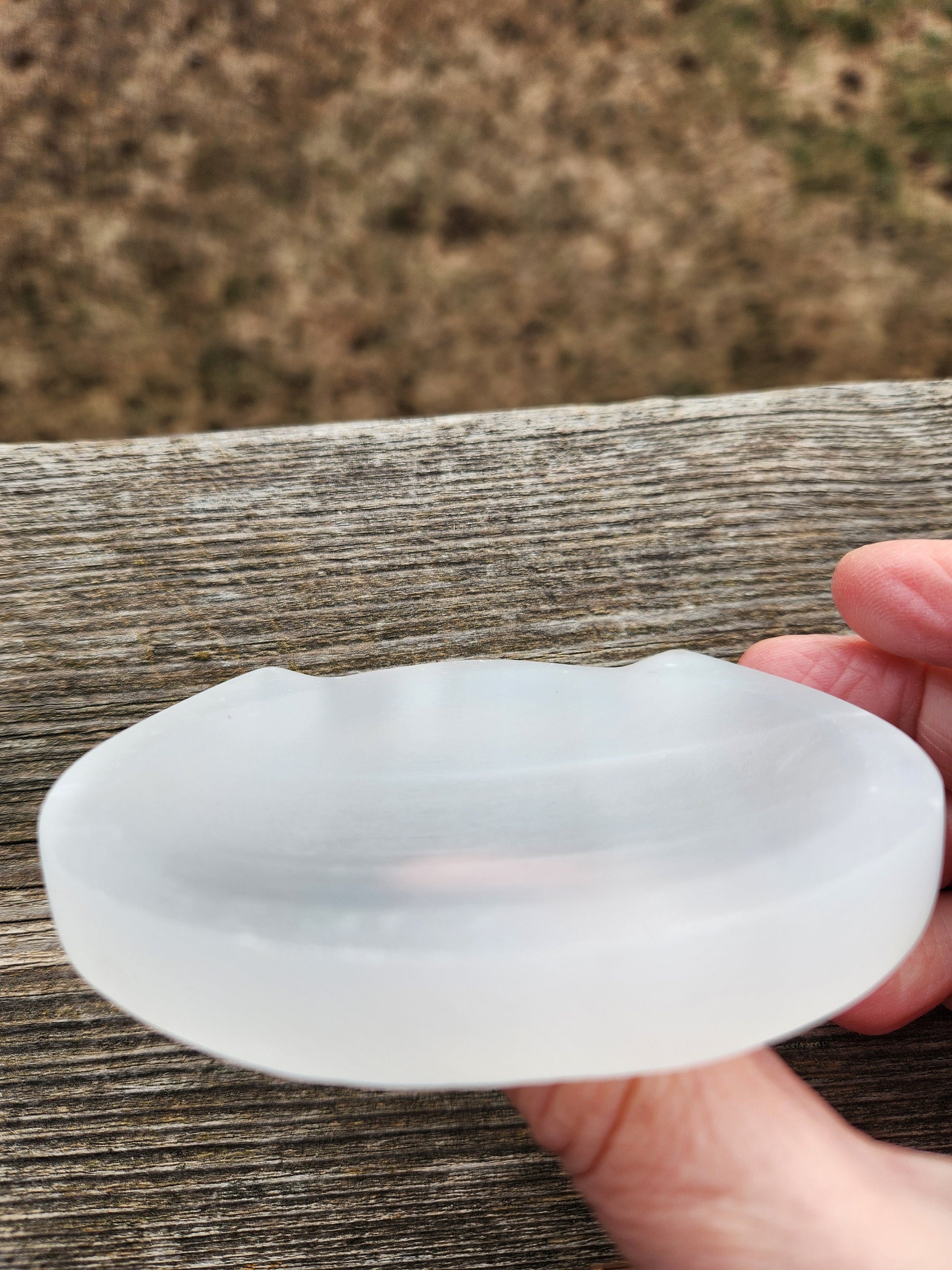 Beautiful Selenite Crystal Cat Shallow Bowl Tray Charging