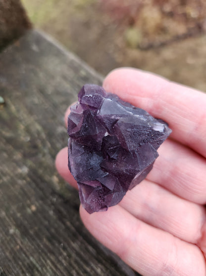 AAA Multi-Color Fluorite Crystal Specimen: Purple & Aqua Blue