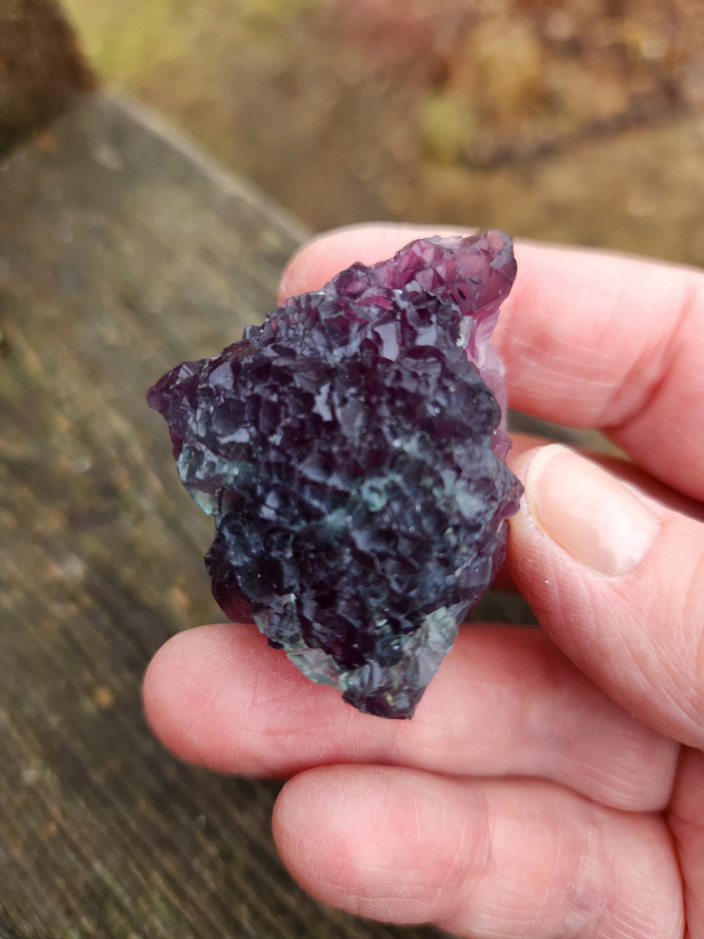 AAA Multi-Color Fluorite Crystal Specimen: Purple & Aqua Blue