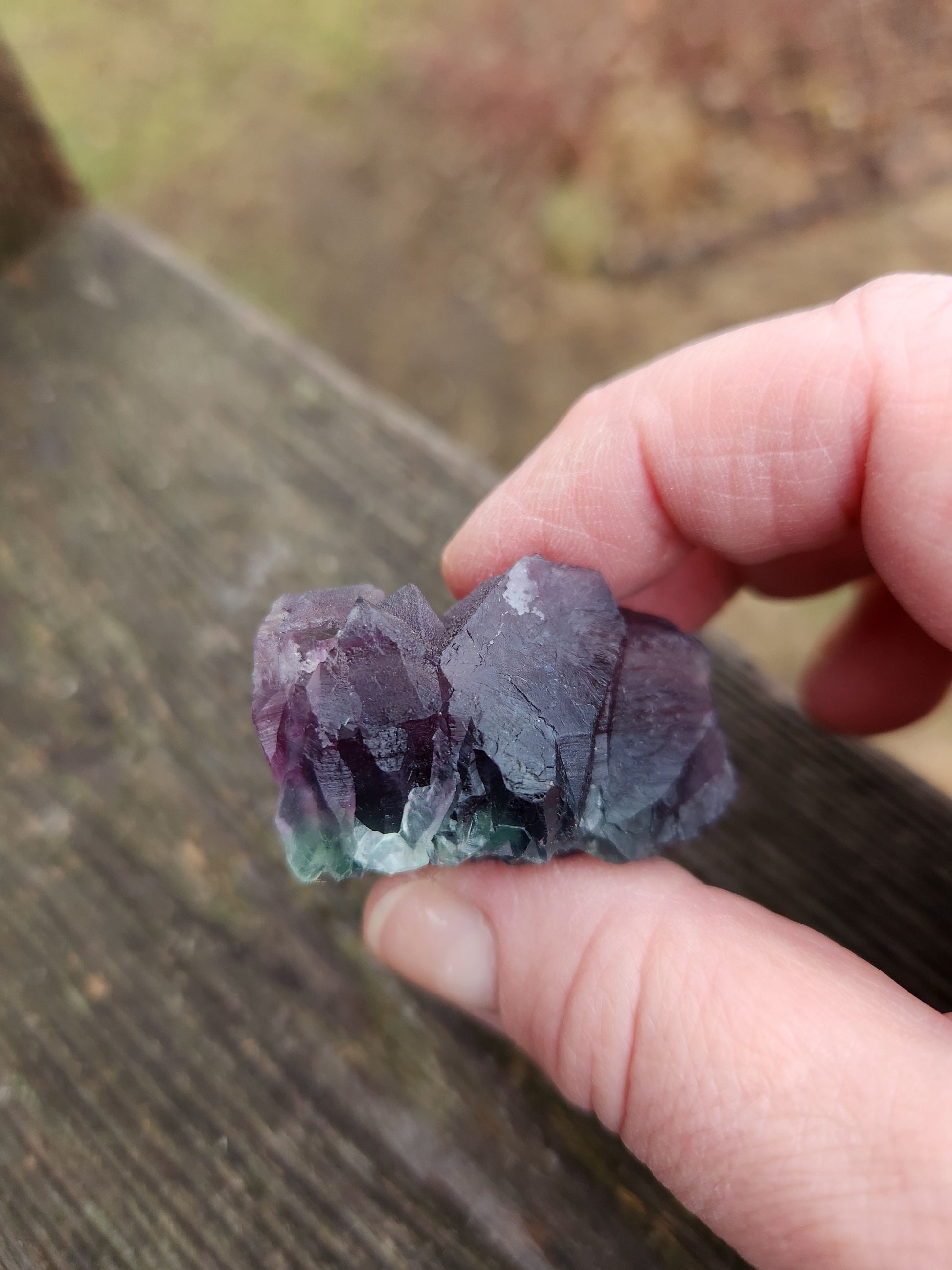 AAA Multi-Color Fluorite Crystal Specimen: Purple & Aqua Blue