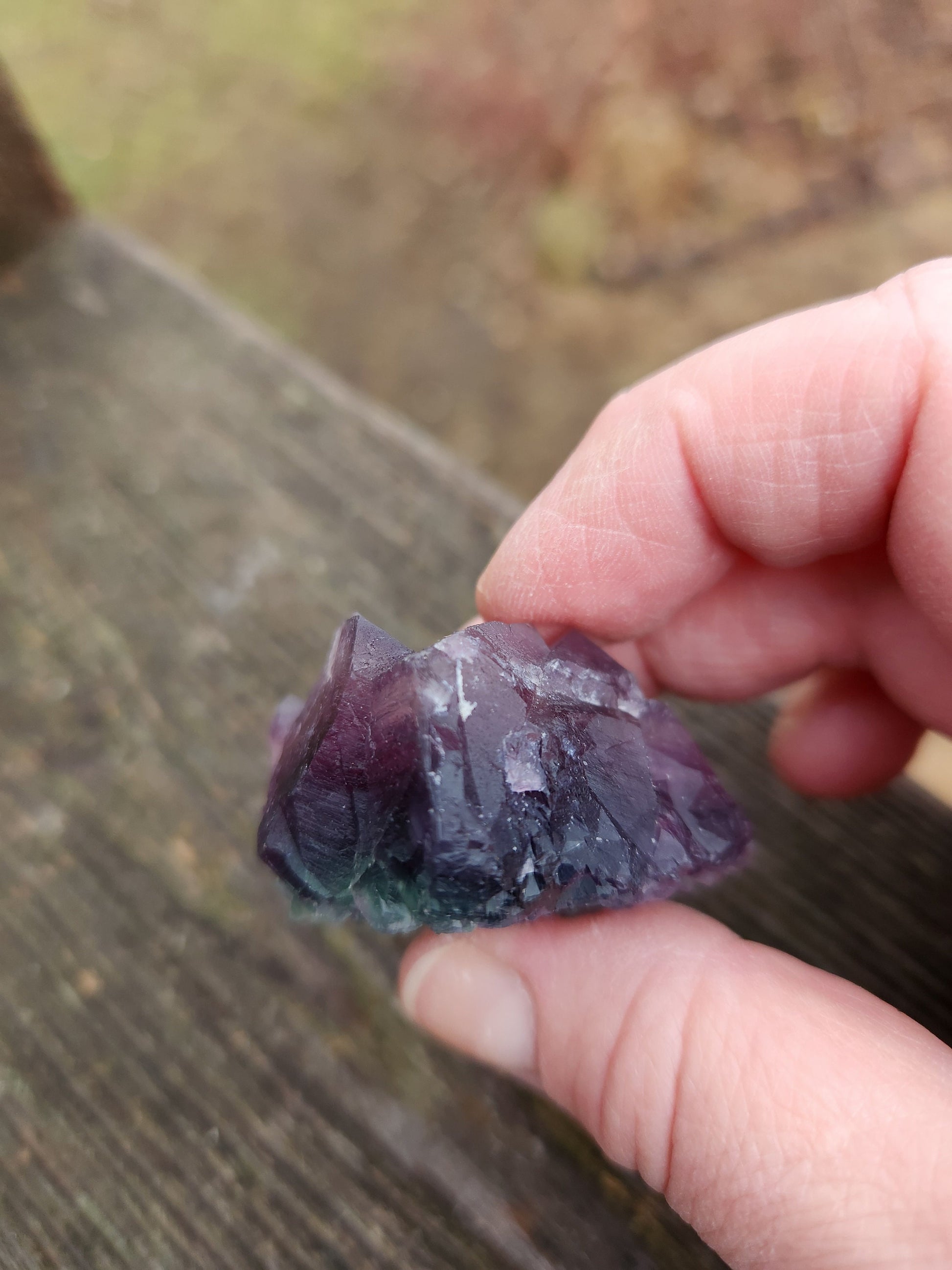 AAA Multi-Color Fluorite Crystal Specimen: Purple & Aqua Blue