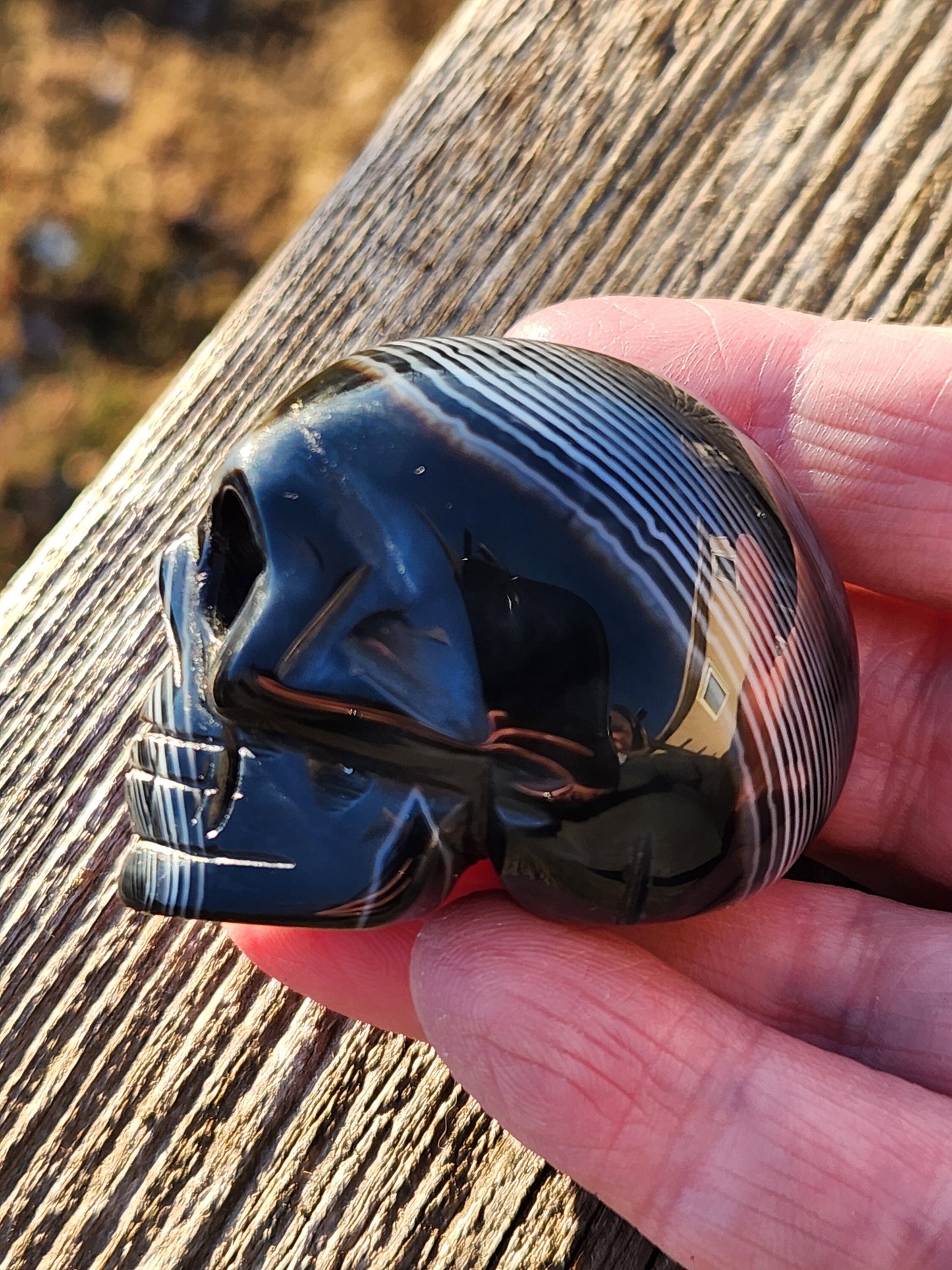 Beautiful AAA High Quality Black Onyx Unique Skull