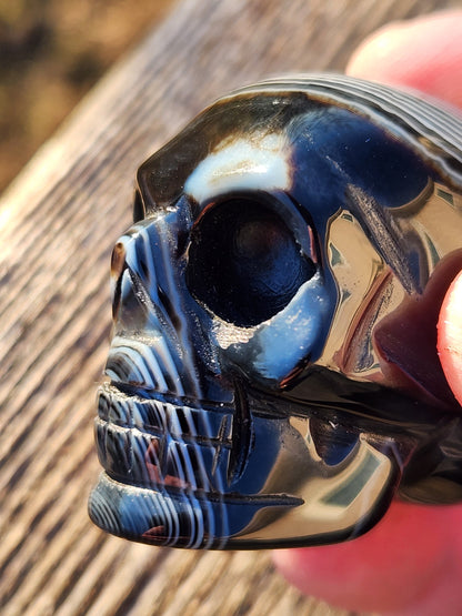 Hand Carved Black Onyx Agate Skull: AAA Quality Crystal Figurine