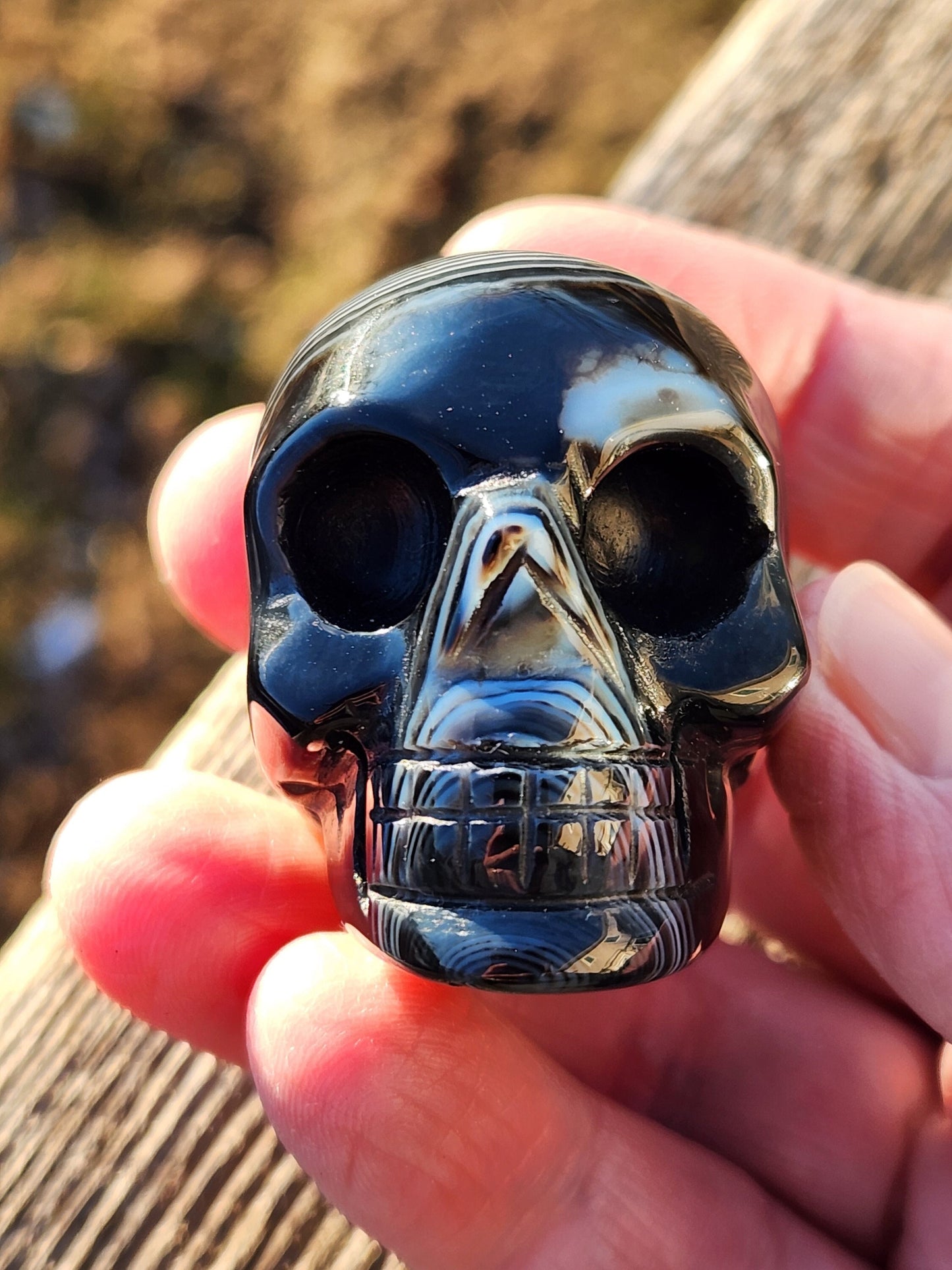 Hand Carved Black Onyx Agate Skull: AAA Quality Crystal Figurine