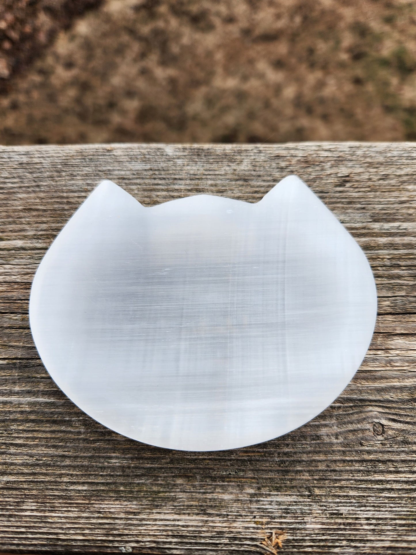 Beautiful Selenite Crystal Cat Shallow Bowl Tray Charging