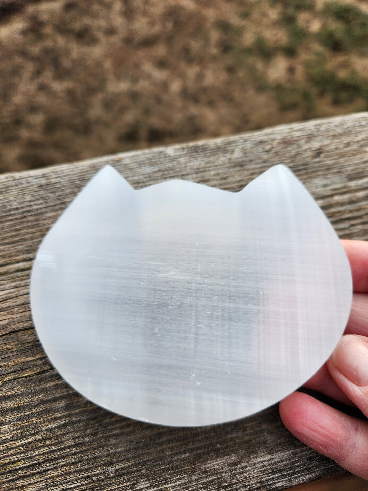 Beautiful Selenite Crystal Cat Shallow Bowl Tray Charging