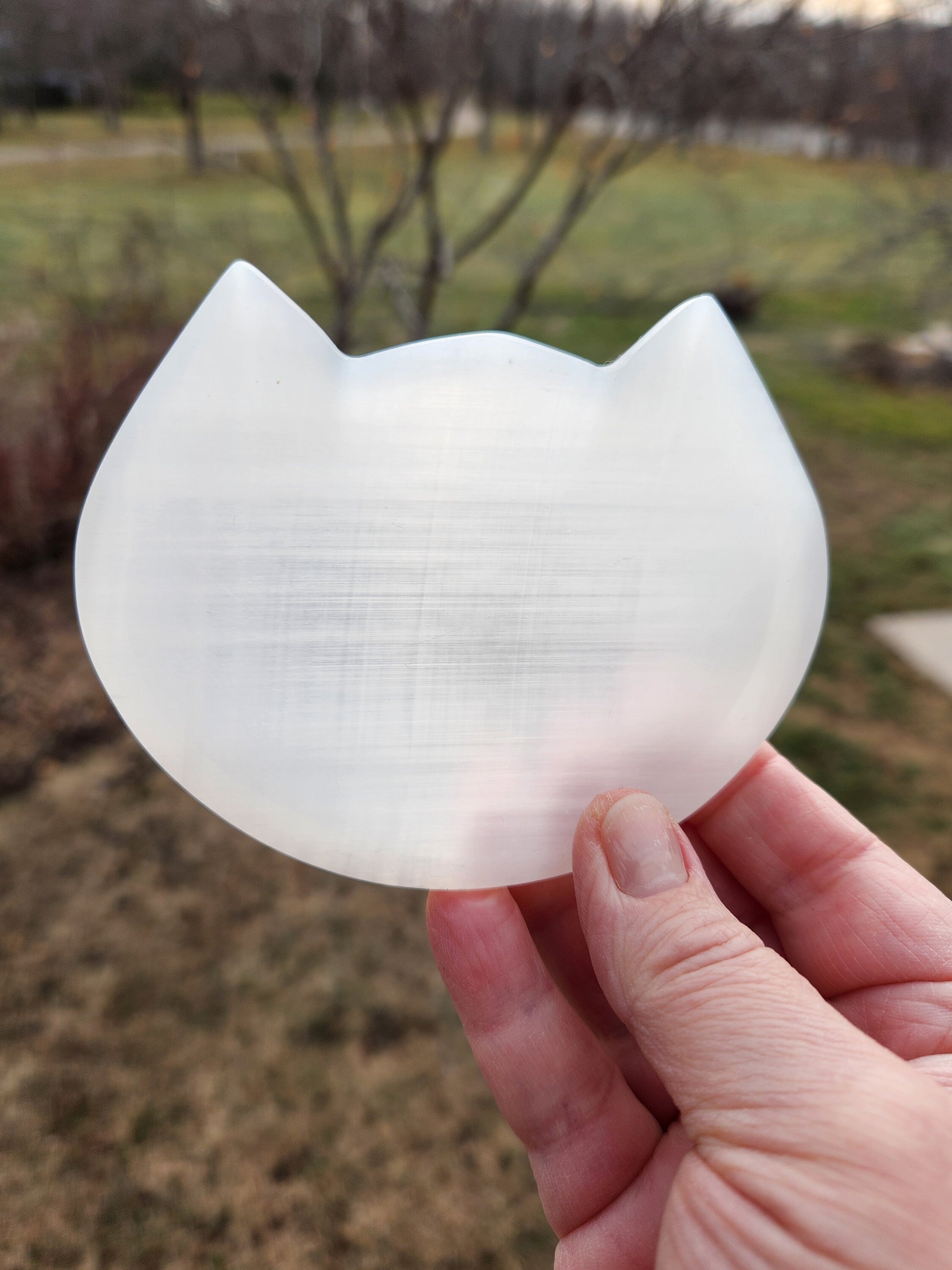 Beautiful Selenite Crystal Cat Shallow Bowl Tray Charging