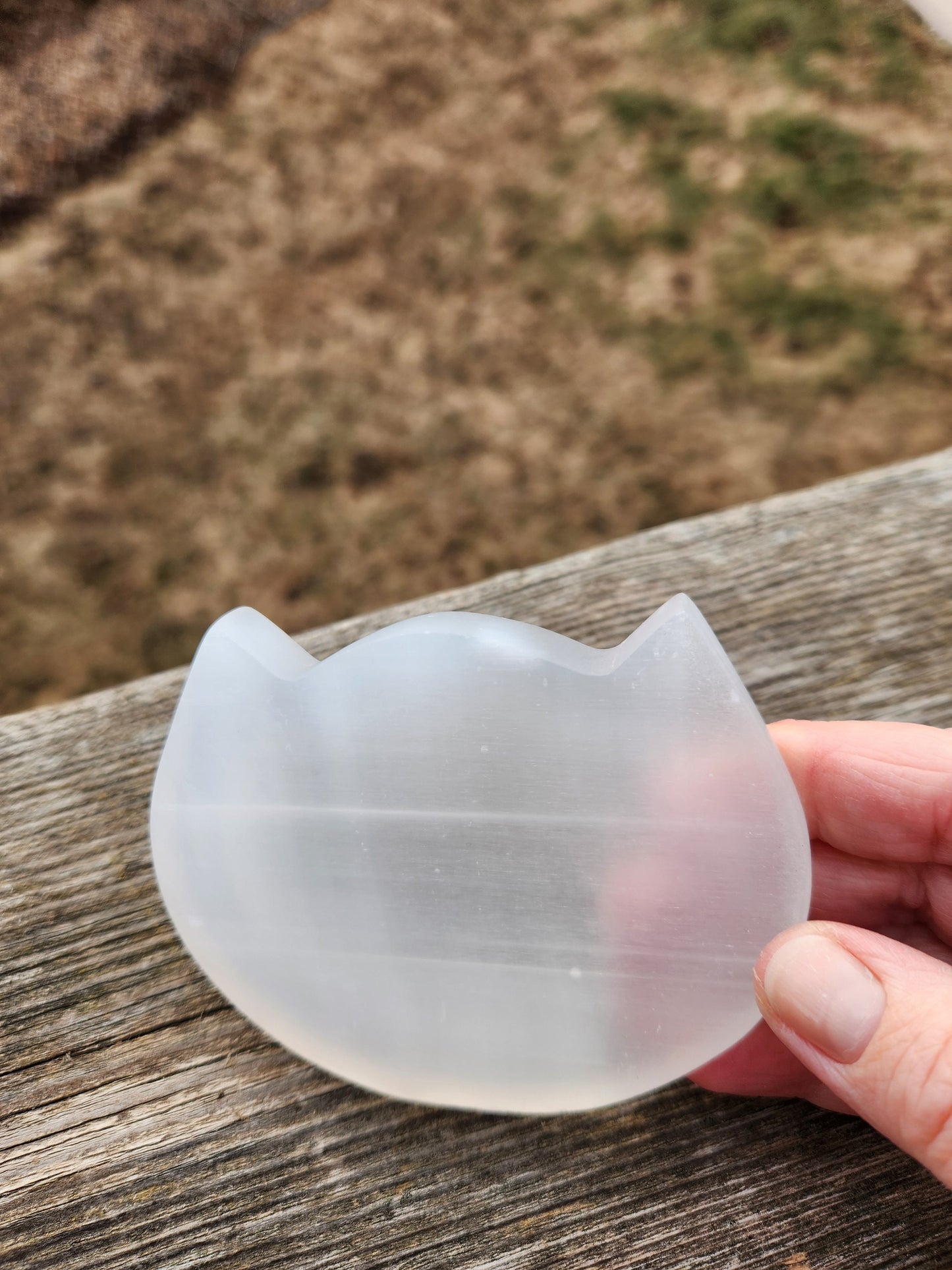 Beautiful Selenite Crystal Cat Shallow Bowl Tray Charging