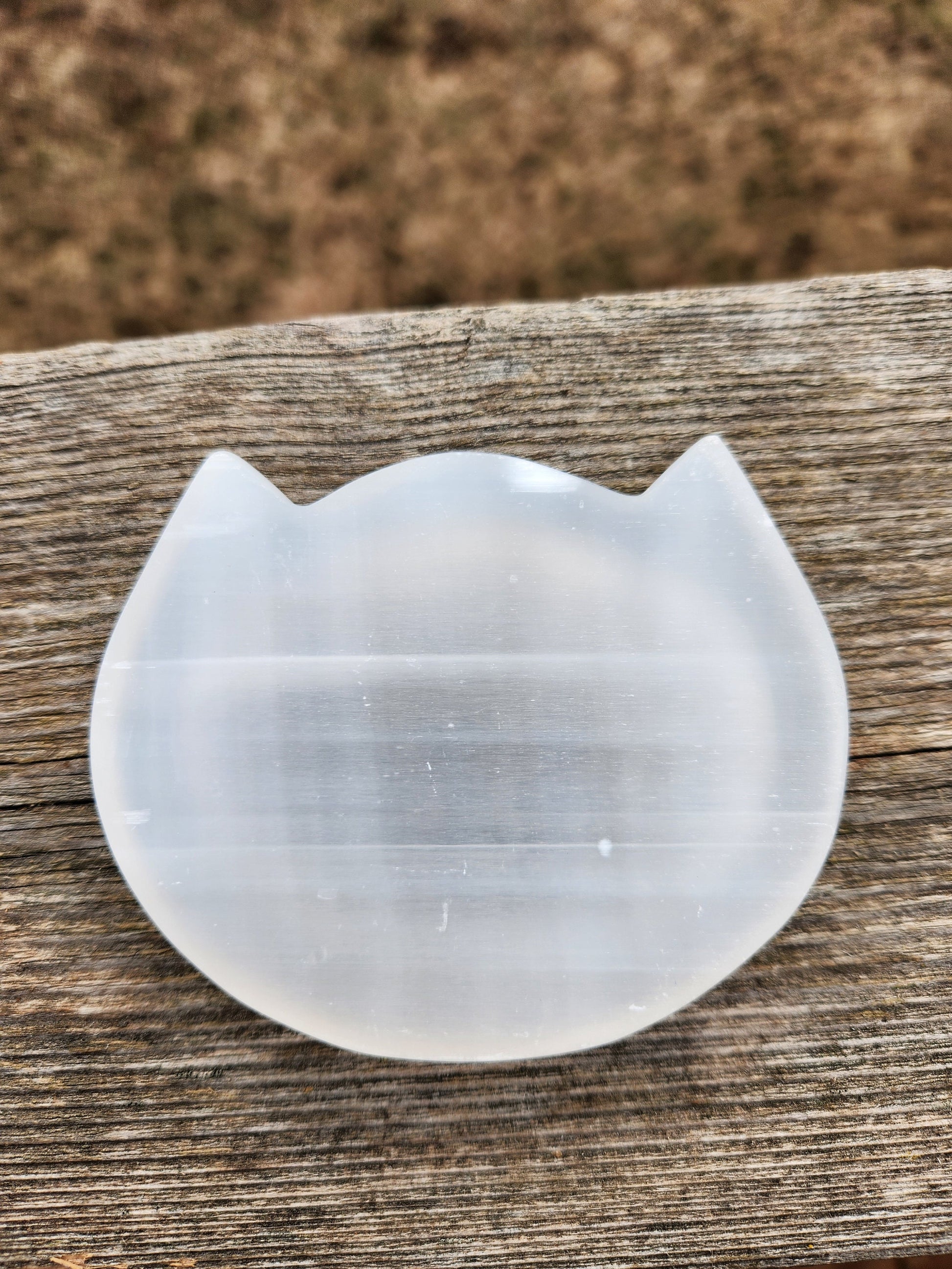 Beautiful Selenite Crystal Cat Shallow Bowl Tray Charging