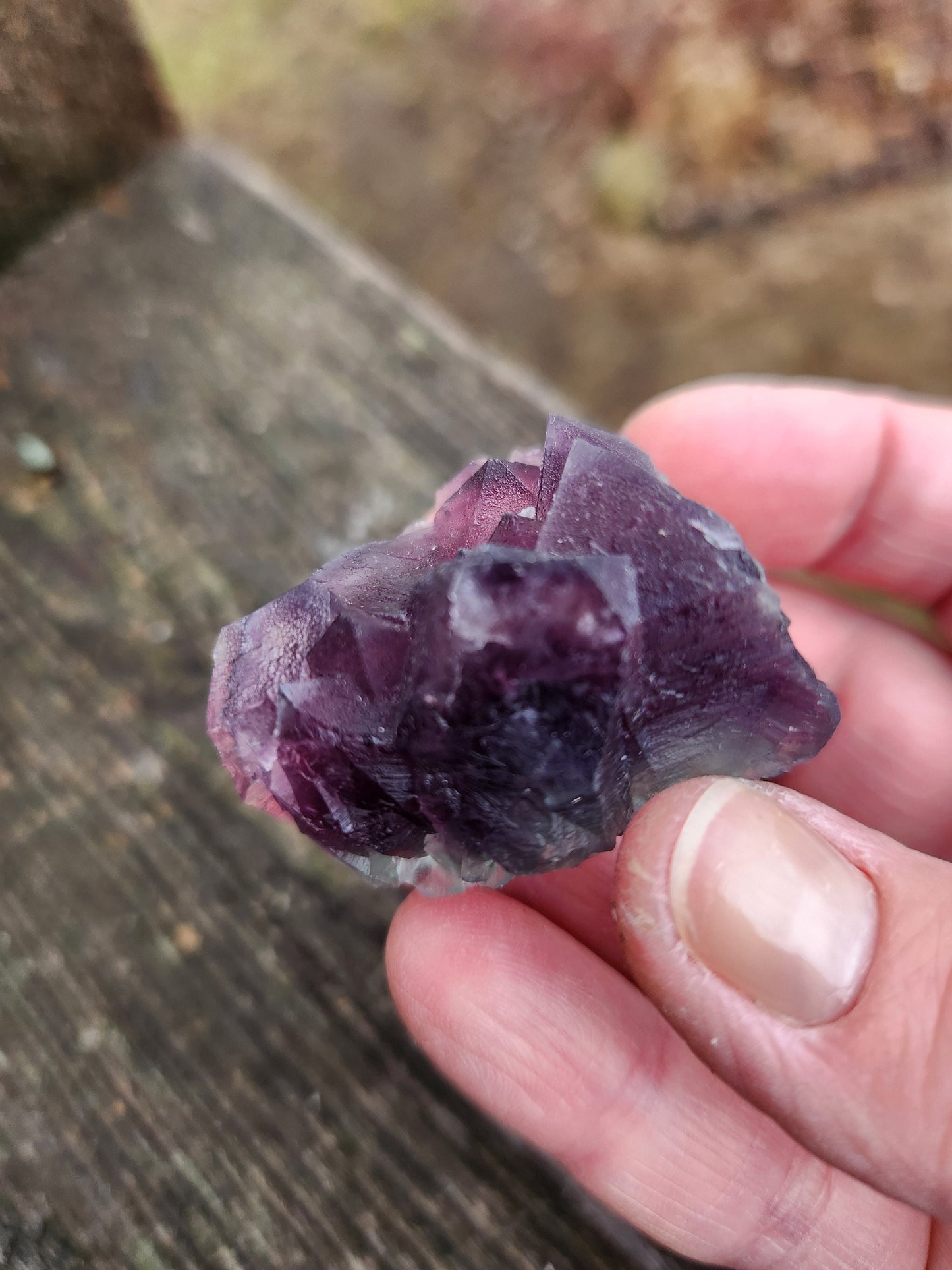 AAA Multi-Color Fluorite Crystal Specimen: Purple & Aqua Blue