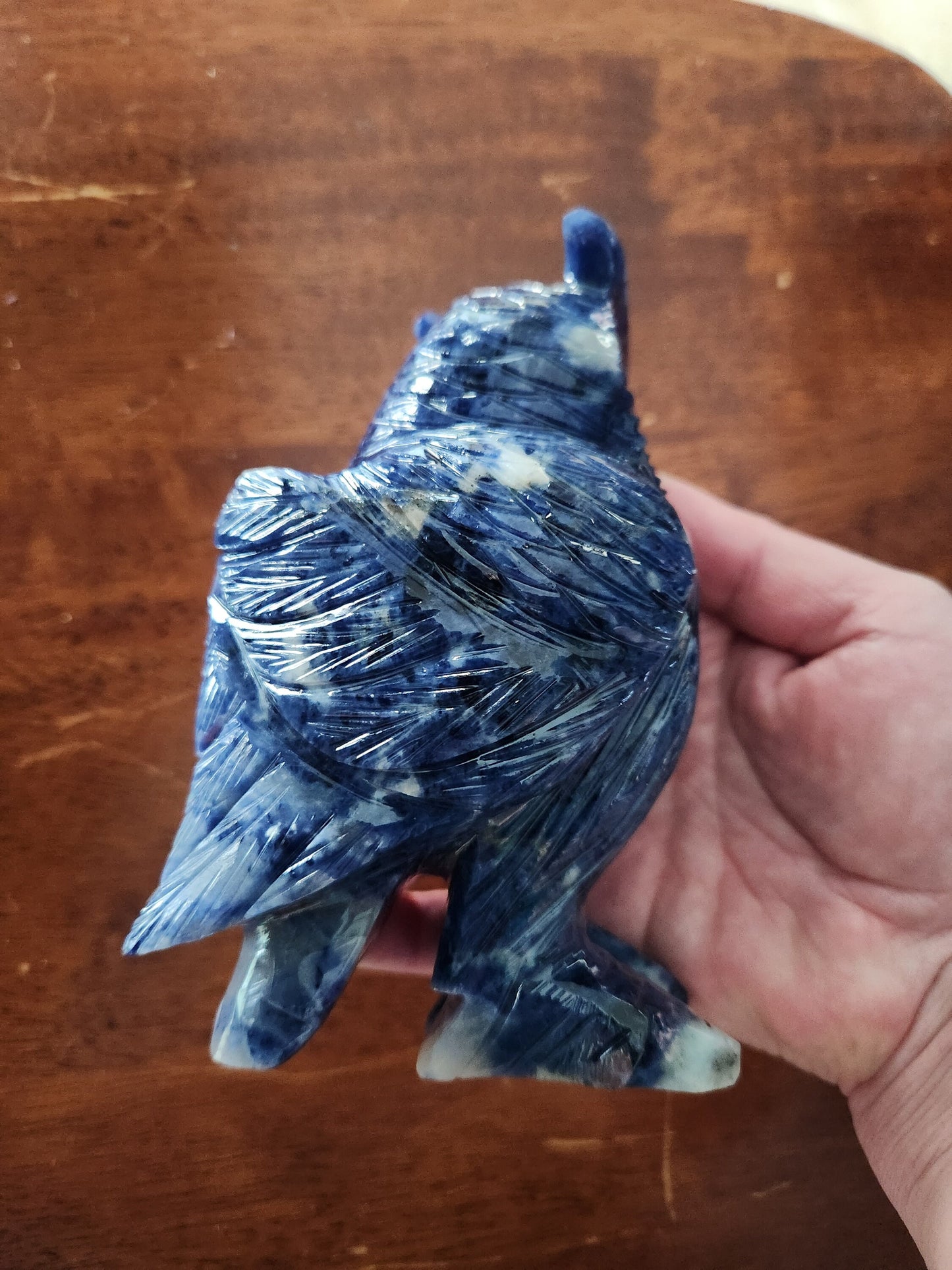 Carved Sodalite Owl Crystal Statue: AAA Quality, Brazil