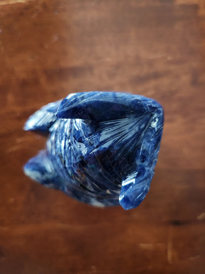 Carved Sodalite Owl Crystal Statue: AAA Quality, Brazil