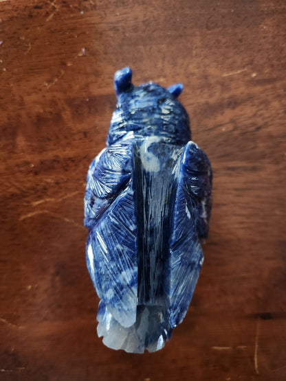 Carved Sodalite Owl Crystal Statue: AAA Quality, Brazil