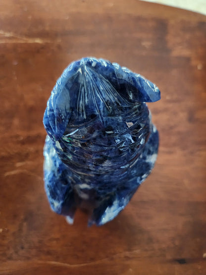 Carved Sodalite Owl Crystal Statue: AAA Quality, Brazil