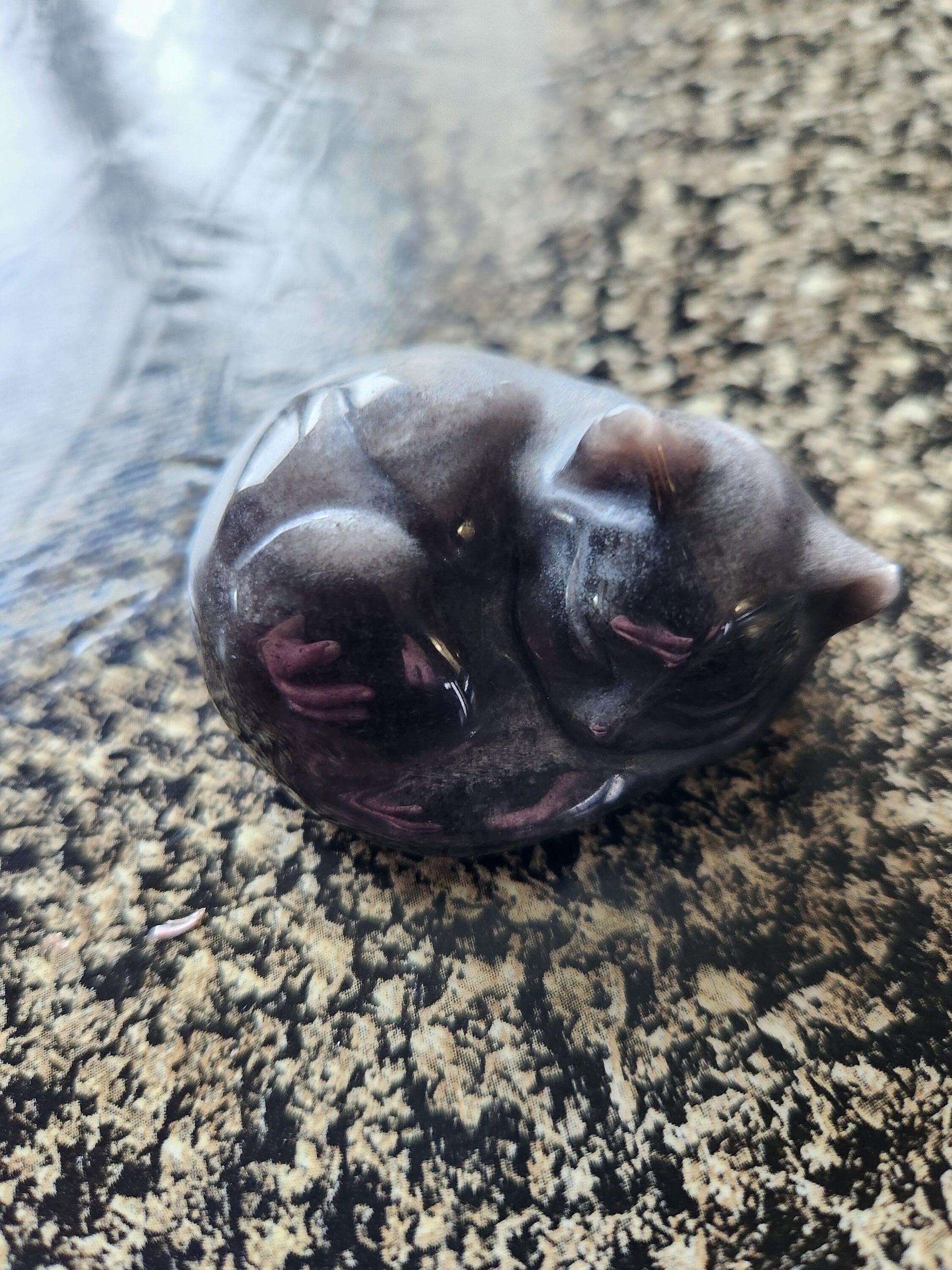 Super Cute Silver Sheen Obsidian Sleeping Cat Natural Stone Crystal with flash