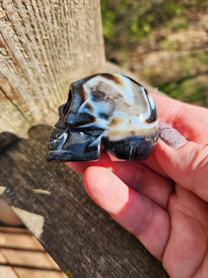AAA Black Onyx Crystal Skull: Hand Carved, Unique Streaks