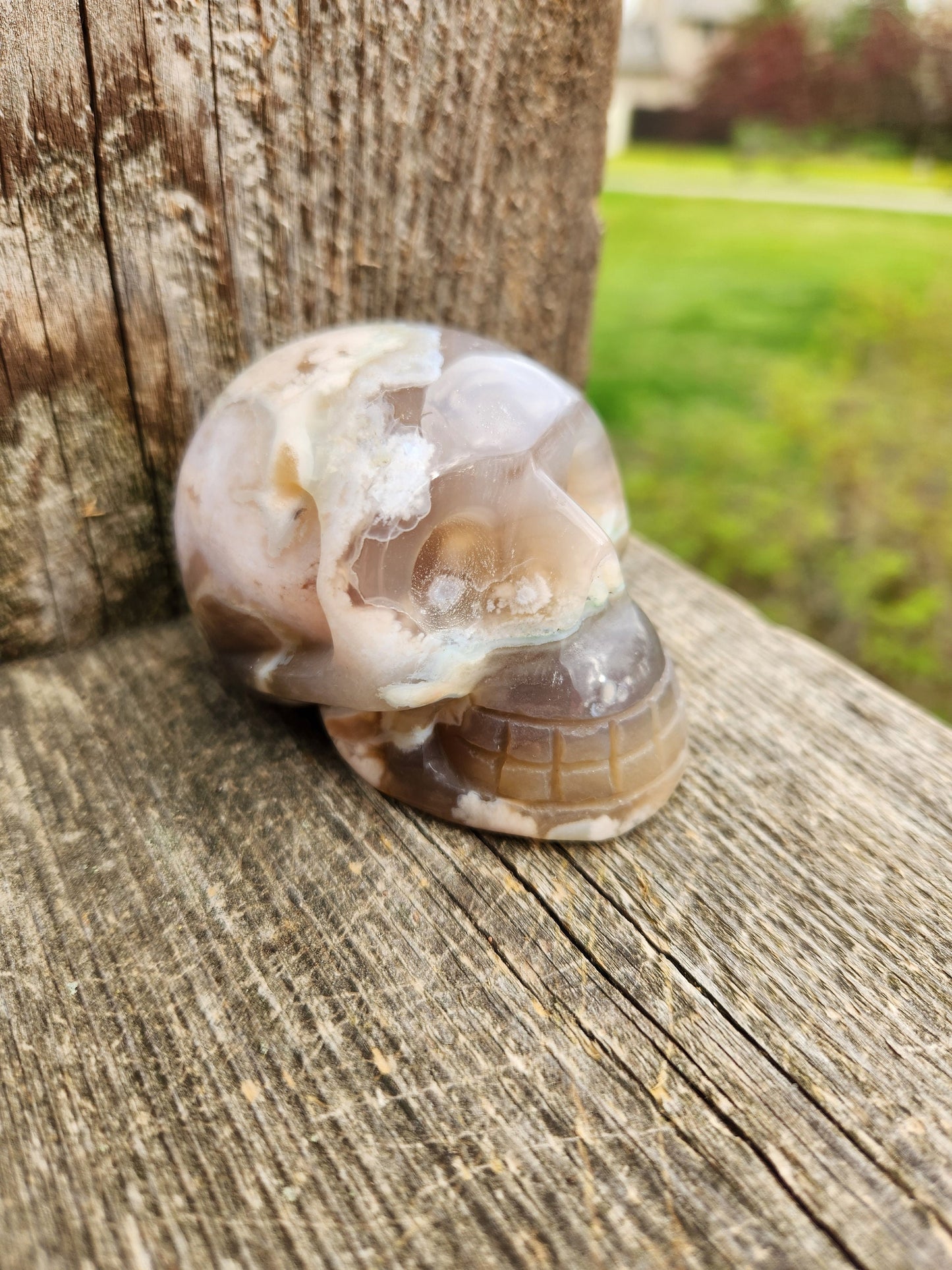 Crazy Cool Scary AAA Flower Agate Crystal Skull with flower plumes