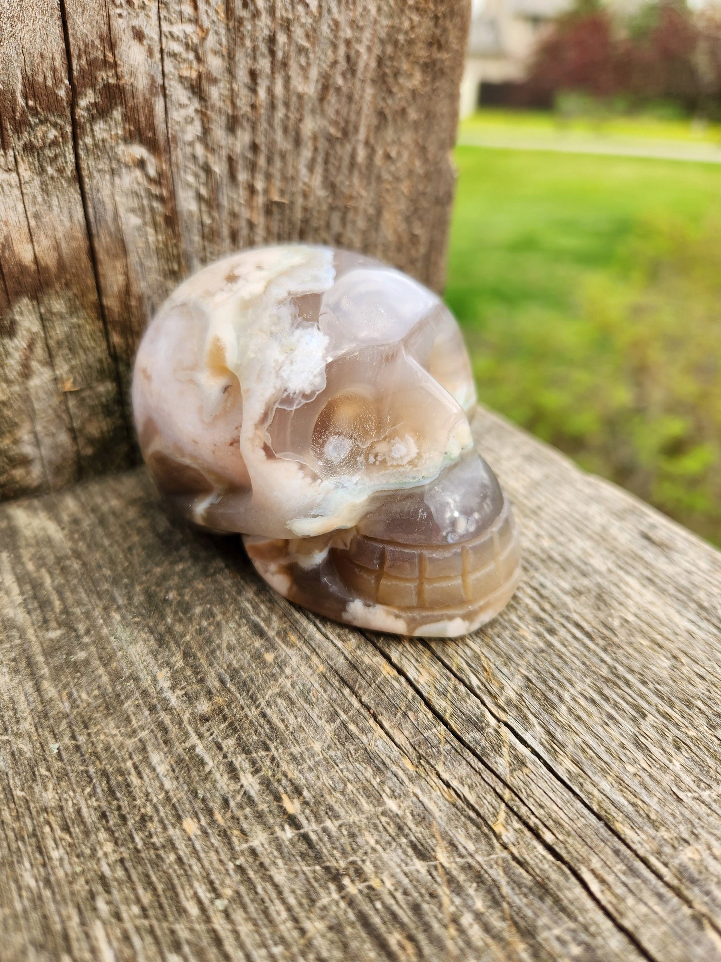Flower Agate Crystal Skull with Flower Plumes